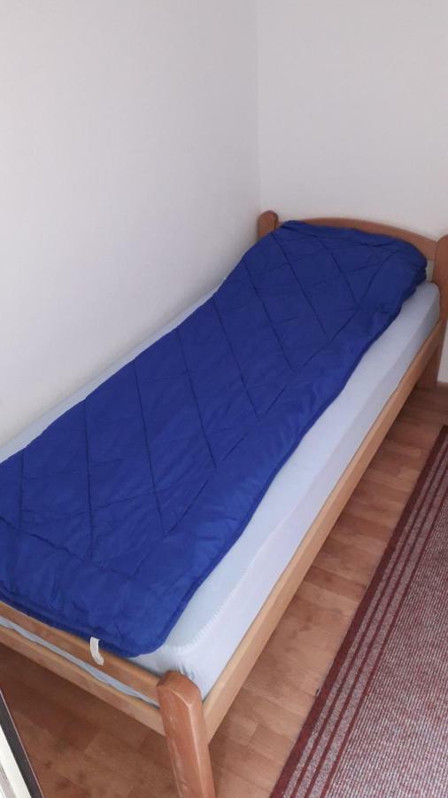 Hostel Trajan Donji Milanovac Ngoại thất bức ảnh